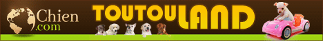 Chien .com : Le Monde Francophone du Chien